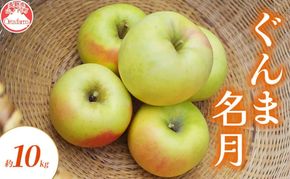 【2026年10月～発送】りんご ぐんま名月 約 10kg フルーツ 果物 黄色 秋 旬の果物 旬のフルーツ 長野県産