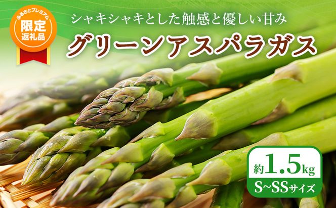 2026年春発送！【ふるプレ限定品】ふらの グリーンアスパラ 約1.5kg S～SSサイズ [ 数量限定 先着順 アスパラ アスパラガス 野菜 新鮮 直送 北海道 富良野 ]