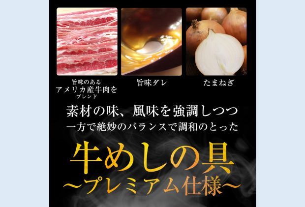 牛丼 松屋 乳酸菌入 プレミアム仕様 牛めしの具 10個 冷凍 セット 冷凍食品 食品 惣菜 n1 