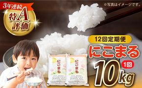 【12回定期便】長崎県産 精米 にこまる 10kg（5kg×2袋）総計120kg / 米 お米 こめ コメ 精米 / 南島原市 / 大松屋商店[SDR016]