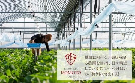 【濃厚】あまおう コンポート 4本 セット イチゴ《糸島》 【TANNAL 磯本農園】[ATB014] いちご あまおう フルーツ お取り寄せ ビタミンC コンポート バレンタイン