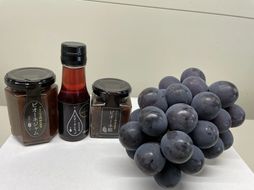 【2026年先行予約】【発送月固定全4回定期便】９月～12月 大粒ぶどうの詰め合わせ全4回【nisfarm023-01】