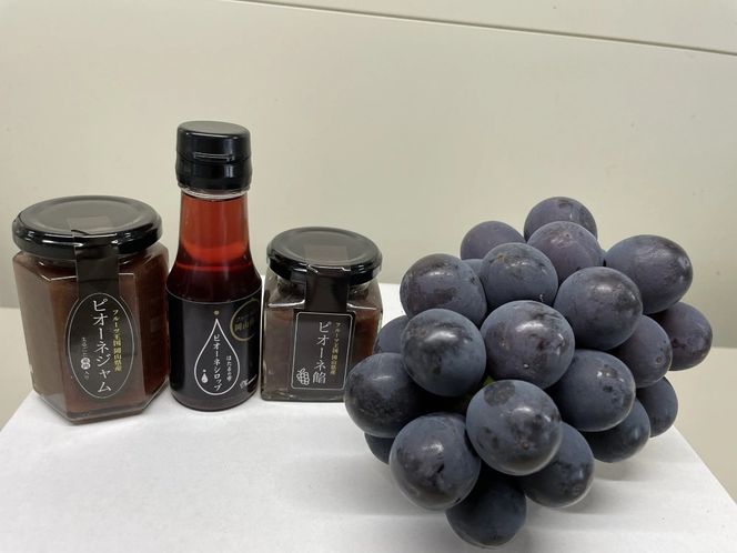 【2026年先行予約】【発送月固定全4回定期便】９月～12月 大粒ぶどうの詰め合わせ全4回【nisfarm023-01】