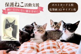 保護猫 支援 猫保護活動への支援 ポストカード 5枚 鉛筆画 1枚 [地域ねこサポート会ちくしの 福岡県 筑紫野市 21761524] 保護 動物 猫 応援 ネコ ねこ ペット動物愛護 愛護 保護活動 クリポス メール便 メール便対応