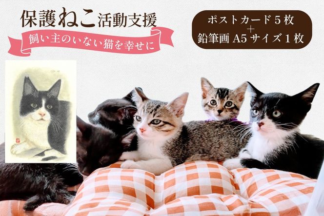 保護猫 支援 猫保護活動への支援 ポストカード 5枚 鉛筆画 1枚 [地域ねこサポート会ちくしの 福岡県 筑紫野市 21761524] 保護 動物 猫 応援 ネコ ねこ ペット動物愛護 愛護 保護活動 クリポス メール便 メール便対応