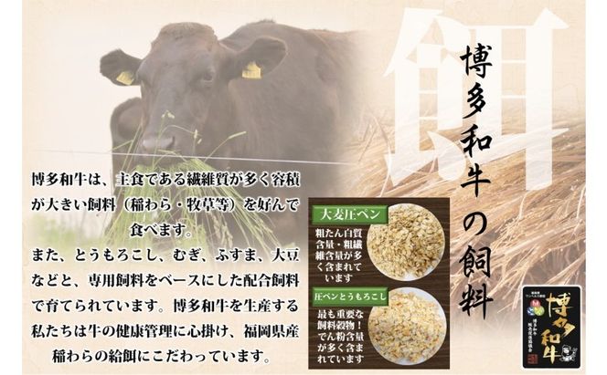 博多和牛 モモ スライス 400g 牛肉 肉 ※配送不可：離島
