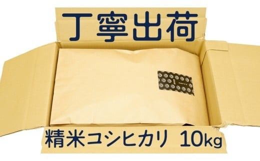【 選べる お届け回数 】コシヒカリ 精米 10kg 令和7年産 米 お米 コメ 白米 こしひかり 茨城県 新生活 応援 定期便 [EX007ci00]