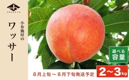 ワッサー 約2kg 約3kg 選べる内容量 [小布施屋] フルーツ 果物 長野県産 信州産 クール便 冷蔵便 数量限定 産地直送 令和7年産 [2025年8月上旬〜8月下旬発送]
