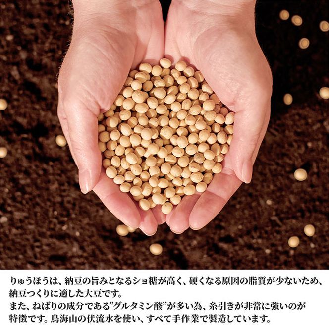 国産大豆のみを使用 秋田の納豆 12個（4パック×3袋） 高評価 豆類 ごはんのお供 お取り寄せグルメ 