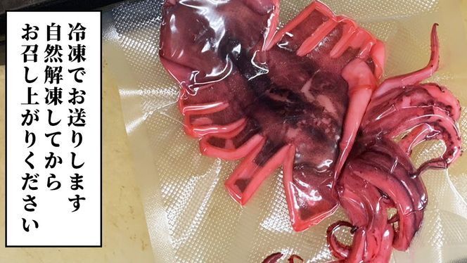 筑西市名物 煮イカ（二杯） いか 筑西 茨城 ソウルフード ご当地グルメ 名物 海鮮 魚介 冷凍 ［BW089ci］