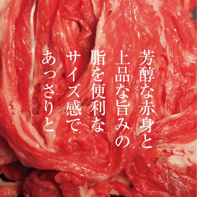 牛肉 京都もり牛 こま切れ 800g 小分け 京都府産 国産 国産牛 和牛 黒毛和牛 小間切れ 焼き肉 焼肉 BBQ バーベキュー カレー 牛丼 鍋 お肉 牛 肉 ブランド ギフト 冷凍 京都 