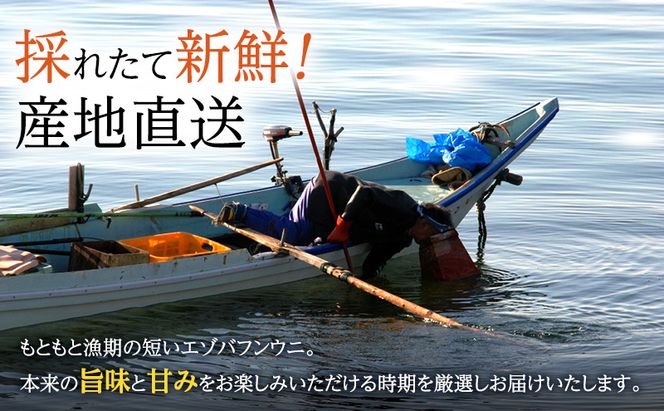 北海道 礼文島産 採れたて ミョウバン不使用 エゾバフンウニ 塩水パック 250g(50g×5個)［株式会社やまじょう］【 うに ウニ 雲丹 生うに 塩水うに バフンウニ 滅菌海水 海鮮 うに丼 濃厚 甘み 】
