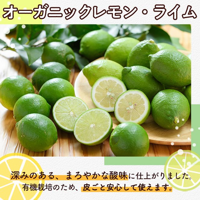 数量限定！有機JAS オーガニックレモン・ライム食べ比べセット(合計約2kg) 国産 レモン 檸檬 ライム 果実 果物 フルーツ 柑橘 デザート 期間限定 有機栽培 健康志向【中村農場】akn084-04