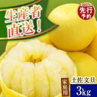【先行予約】生産者直送 土佐文旦 約3kg [2L～4L] 家庭用 ＜2027年1月下旬より発送＞ 家庭用 文旦 柑橘 みかん フルーツ  果物  産地直送 お取り寄せ 人気  【土佐文旦産直協同組合】