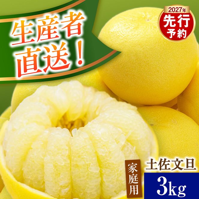 【先行予約】生産者直送 土佐文旦 約3kg [2L～4L] 家庭用 ＜2027年1月下旬より発送＞ 家庭用 文旦 柑橘 みかん フルーツ  果物  産地直送 お取り寄せ 人気  【土佐文旦産直協同組合】
