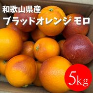 和歌山 有田 ブラッドオレンジ モロ 5kg DJ061