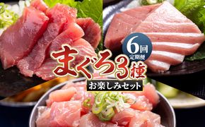 マグロ 定期便【6回定期便】〈月替わり〉まぐろ ３種 お楽しみセット - 定期便 国産 刺身スライス 柵 切り落とし 海鮮丼 漬け丼 煮物 鮪 マグロ カット済み Wnz-0117