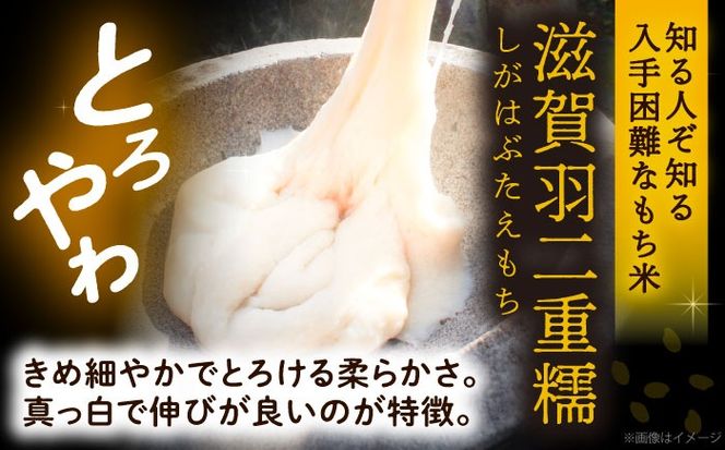 もち米 450g×2袋 もち米 米 愛西市 / 株式会社TONORI[AECT029]