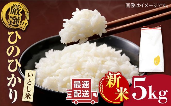 【年内発送】【令和7年産新米】 いとし米 厳選ひのひかり 5kg (糸島産) 糸島市 / 三島商店 [AIM019] 米 お米 ご飯 白米 ひのひかり ひのひかり 九州 福岡