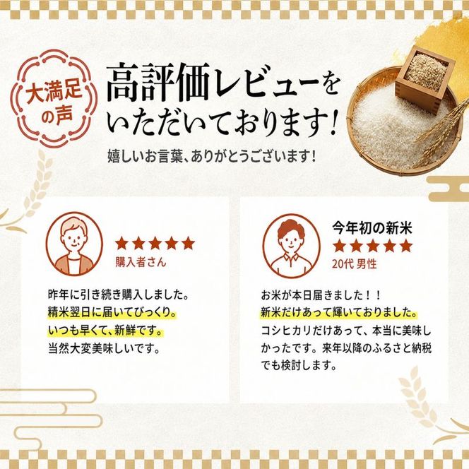【ふるさと納税】コシヒカリ 米 定期便 5kg 10kg 選べる 令和8年産 新米 先行予約 白米 精米 一等米 単一原料米 3ヶ月 6ヶ月 3回 6回 5キロ 10キロ お米 おこめ こめ ご飯 こしひかり 産地直送 福井県産 福井県　若狭町