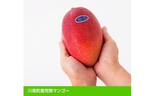 【令和8年発送】宮崎県産完熟マンゴー「果実の宝石」　4L×1玉 【 果物 フルーツ マンゴー 宮崎県産 みやざきマンゴー 先行予約 数量限定 期間限定 】[C03705]