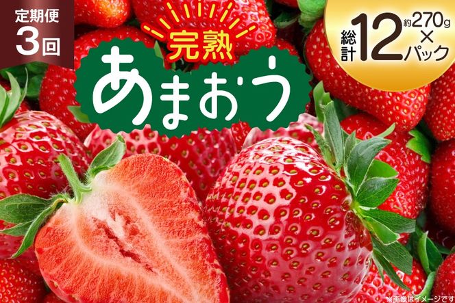 y}szyԌ蔭z  3  Y n  ܂ 270g 4p v12p [mhshops  }s 21761227] C`S  t[c ʕ  4pbN