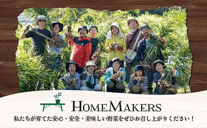 【 小豆島 】瀬戸内小豆島の旬野菜セット 農家直送 年12回お届け 定期便 野菜 やさい 旬 新鮮 詰め合わせ 香川 香川県 土庄 土庄町