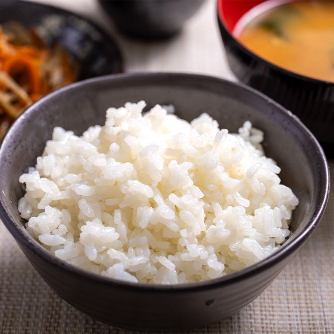 コシヒカリ 無洗米 10kg お米 こしひかり 高知県 香南市 cs-0002