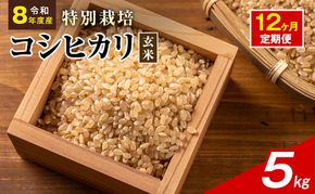 令和8年産 特別栽培米 コシヒカリ 玄米 5kg 静岡県産 色彩選別済 食に意識高い方へオススメ 12ヶ月定期便