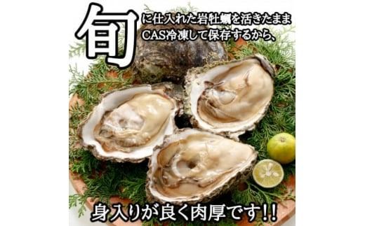 特大!天然岩牡蠣特上品800g(1～2コ/殻付き/生食用)CAS冷凍カキ 海鮮バーベキューBBQに