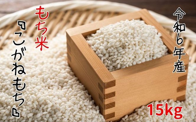 【令和6年産】平泉町産もち米 こがねもち 15kg / お米 こめ もちごめ 令和6年産 産地直送 国産 もち米の王様 年末 お正月 餅つき お餅 お雑煮 ぞうに お赤飯 おはぎ ぼたもち ギフト プレゼント 贈答 お祝い お返し【com400-koga-15B】