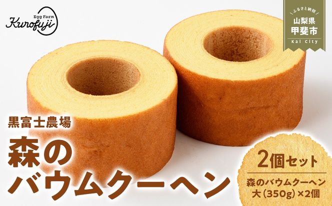 森のバウムクーヘン　2個セット　人気　おすすめ　国産　贈答　ギフト　お取り寄せ スイーツ　お菓子　バウムクーヘン　卵　たまご　タマゴ　玉子　鶏卵　放牧卵　平飼い　B-9