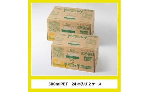 サンA宮崎育ちのレモネード500mlＰＥＴ　24本入り×2ケース【飲料 栄養機能食品 レモン 檸檬 マルチビタミン配合 セット ジュース PET 長期保存 備蓄 送料無料】 [C03016]
