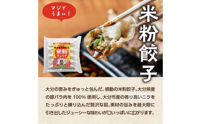 【A02038】大分特産！グルテンフリーのニラと大葉の米粉餃子