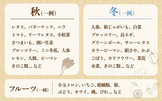 新鮮 「旬の野菜・フルーツ」 詰め合わせ セット（13品〜15品）/ 野菜 定期便 やさい 定期便 野菜セット やさいセット 春野菜 夏野菜 秋野菜 冬野菜 旬新鮮 / 南島原市 /長崎県農産品流通合同会社[SCB090]
