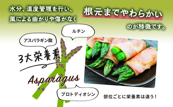 【数量限定・2026年4月初旬頃～発送】富良野 益田農園産 極太 グリーンアスパラガス ≪M～3L混合≫ 約500g アスパラ 北海道 富良野市 緑アスパラ 野菜 とれたて 朝採り 限定 数量限定 (益田農園)