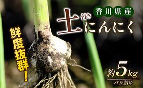 鮮度抜群！土付きにんにく 5kg 野菜 根菜 