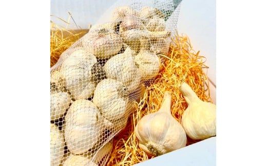植田ファームの自然乾燥平戸にんにく700g 〈2026年6月10日～2026年10月31日〉700グラム ニンニク ガーリック おつまみ お酒 料理 醤油漬け ガーリックオイル ペペロンチーノ パスタ スパゲッティ 高知県 土佐市【株式会社植田ファーム】[BQAT004]