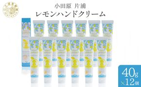 小田原 片浦レモンハンドクリーム１２個 142069_GJ099