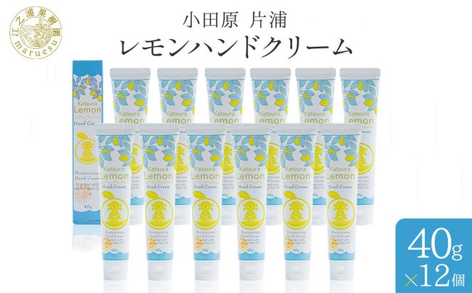 小田原 片浦レモンハンドクリーム１２個 142069_GJ099