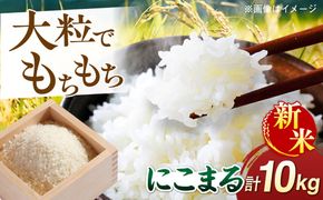 【先行受付中】【令和8年産 新米】にこまる 玄米品質1等米 白米 10kg【2026年10月下旬以降順次発送】  糸島市 / 糸島の恵み コメ こめ ご飯[AGR002]