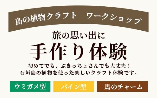 石垣島の植物クラフトワークショップ (5月下旬より順次発送)【沖縄県 石垣 自然 ワークショップ マース 袋 お守り 体験 手作り 記念】 HM-5