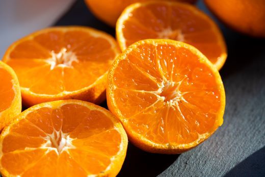 みかん定期便 3回 土佐乃かなやのみかん5kg(S～Lサイズ)×3回 合計15kg - 定期便 数量 国産 早生みかん 蜜柑 ミカン 柑橘 果物 くだもの フルーツ Wbe-0127