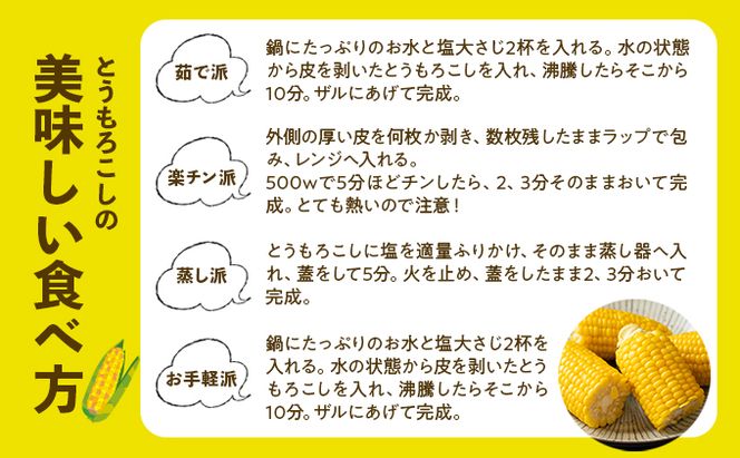 北海道 倶知安町 とうもろこし 味来 みらい 北海道 5kg 2Lサイズ 大きめ 夏野菜 とうきび 旬 新鮮 野菜 トウモロコシ ギフト 産地直送 産直 お取り寄せ 詰め合わせ 送料無料 13本 高糖度 