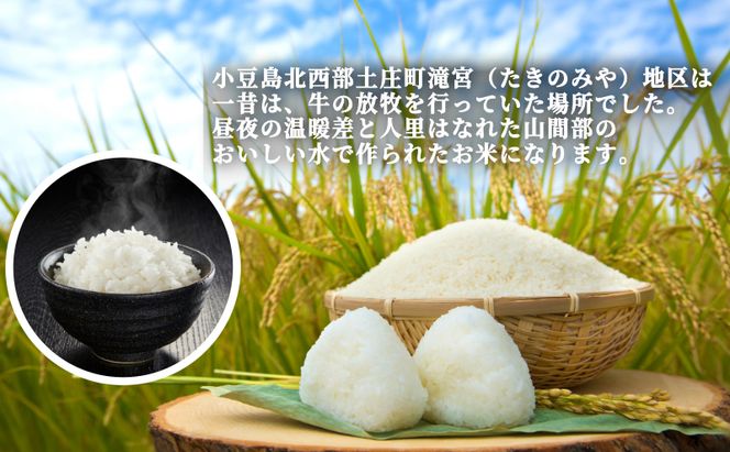 【 小豆島 】小豆島 滝宮で獲れたふっくらつやつや 小豆島産 コシヒカリ 300g×5個 こしひかり お試し 少量 小分け お米 米 白米 精米 もっちり 甘み 1.5kg 香川 香川県 土庄 土庄町