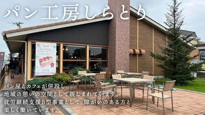 【 6ヶ月 定期便 】茨城県産 小麦の レーズンパン 2斤 2本 セット 食パン パン 小麦 冷凍 レーズン プレゼント ギフト [AU021ci]