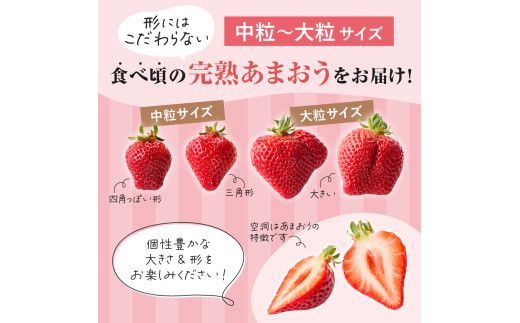【先行予約】オーガニックあまおう 「いせいちご」 おまかせ4パック（MIX）【伊世いちご畑】_HA1018