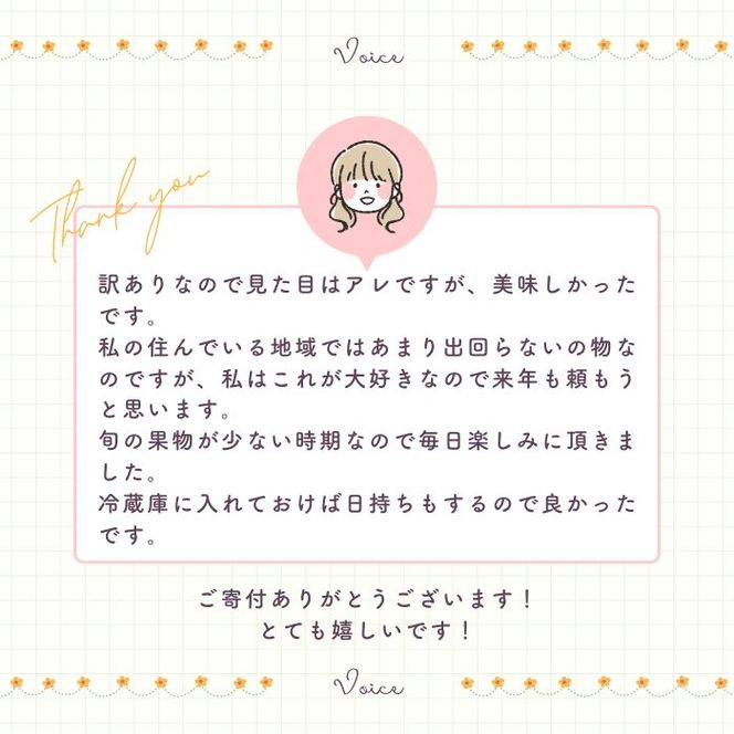 【訳あり】  河内晩柑 10kg 木取り完熟  【発送期間: 2024年８月～ なくなり次第終了】 柑橘 みかん 愛南ゴールド 蜜柑 グレープフルーツ ゼリー ジュース アイス 果物 フルーツ サイズミックス 規格外 吉本農園