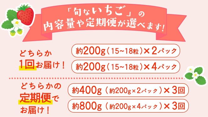 ＼選べる 内容量・発送方法／白いちご 約200g（15～18粒）2パック または 4パック 単品・定期便 3か月【2027年1月から発送開始】（茨城県共通返礼品 [いちご]：城里町産） 茨城県 県産 人気 厳選 果物 くだもの 旬 旬の果物 旬のフルーツ フルーツ ギフト 贈答 いちご イチゴ 苺 白いちご