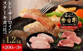 宮崎牛 ヒレ・サーロインステーキセット各200g×3枚 N023-YZF004